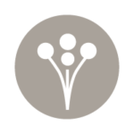 Social_Icons_Wed_Wire